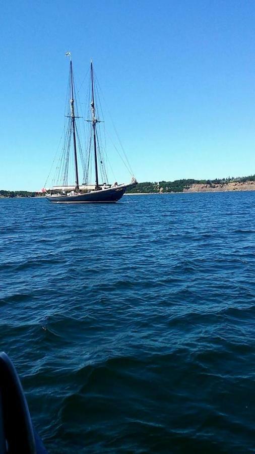 The Fiddle And The Sea Bed And Breakfast Port Hood Екстериор снимка